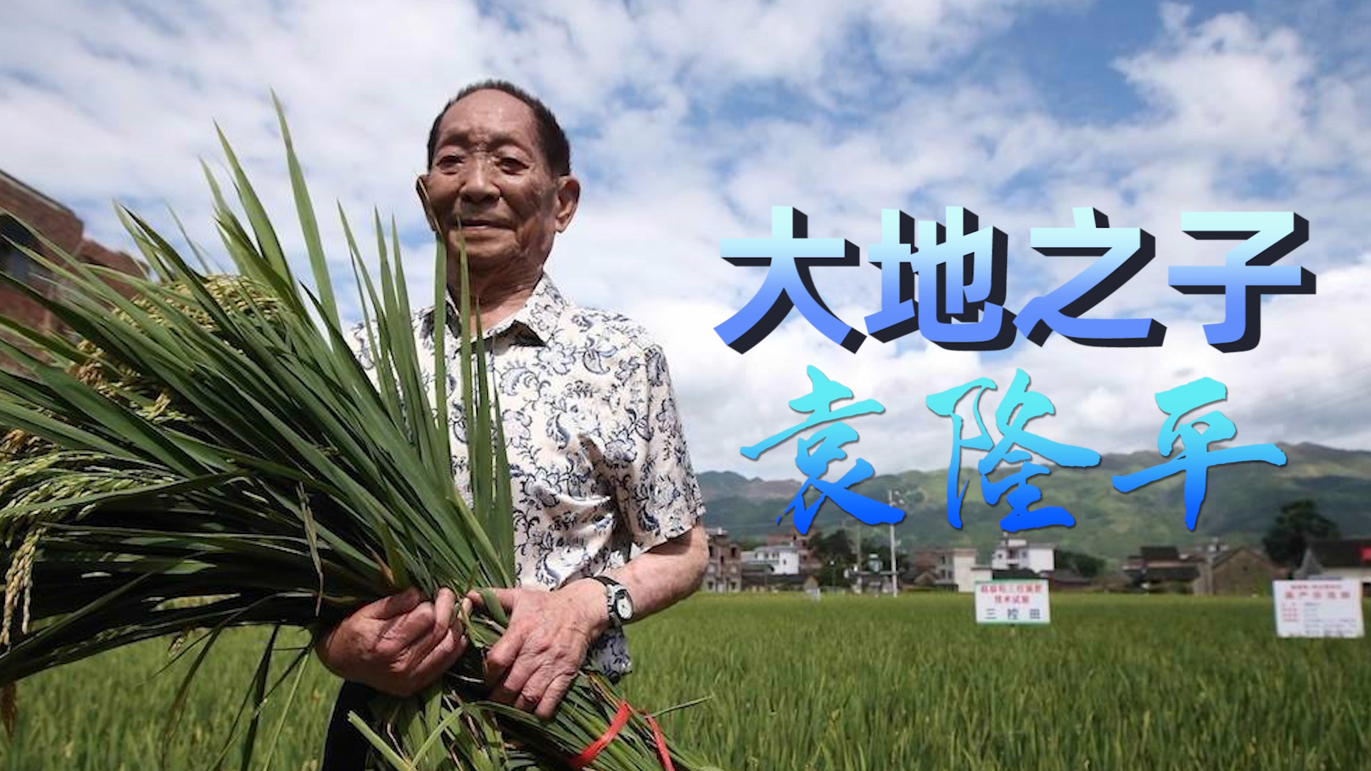 大地之子袁隆平演讲朗诵配乐LED背景视频