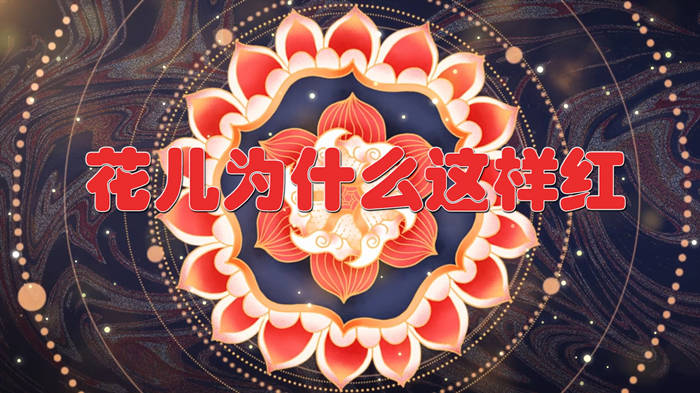 花儿为什么这样红配乐伴奏舞台演出LED背景视频