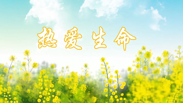 热爱生命演讲朗诵配乐LED背景视频