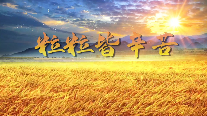 粒粒皆辛苦配乐伴奏舞台演出LED背景视频