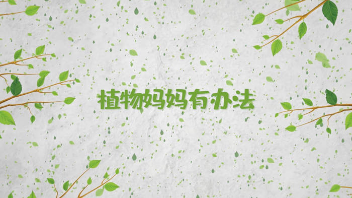 植物妈妈有办法演讲朗诵配乐LED背景视频