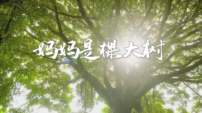 妈妈是棵大树-经典朗诵配乐led背景视频