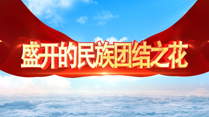 盛开的民族团结之花-热爱祖国民族团结主题演讲朗诵配乐led背景视频