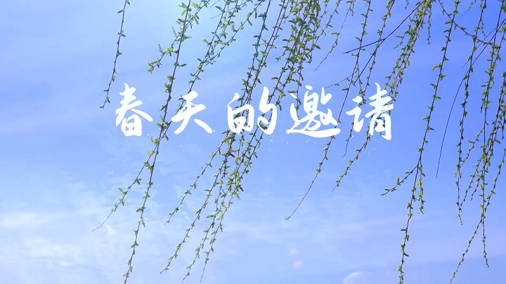 春天的邀请-春天主题演讲诗歌经典朗诵配乐led背景视频