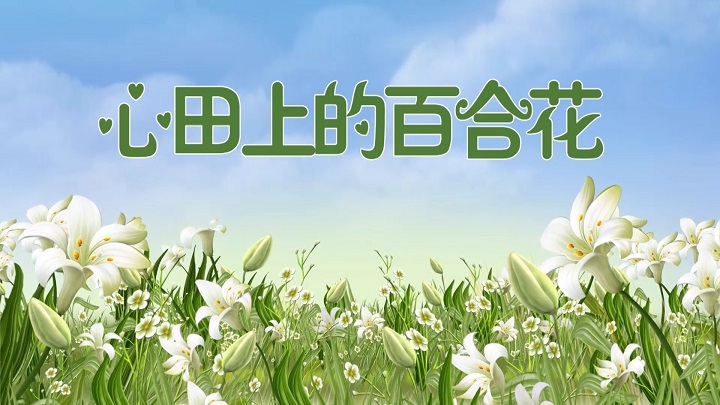 心田上的百合花-挚爱真情主题演讲经典朗诵配乐led背景视频