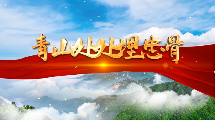 青山处处埋忠骨-歌颂祖国红色抗战英雄主题演讲经典朗诵配乐led背景视频