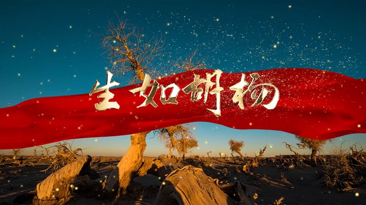 生如胡杨-生命励志主题演讲经典朗诵配乐led背景视频