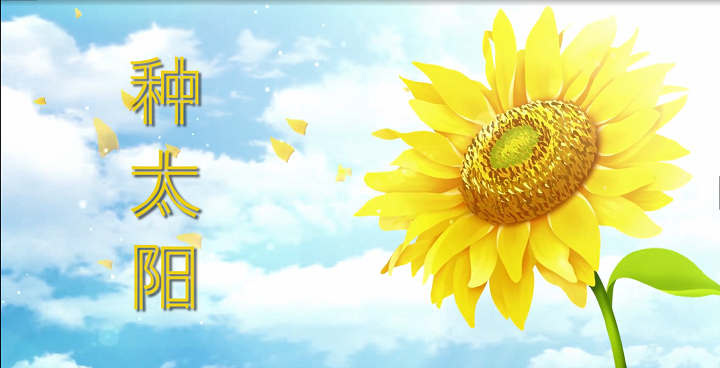 种太阳-少儿歌曲 舞蹈配乐伴奏舞台演出LED背景视频