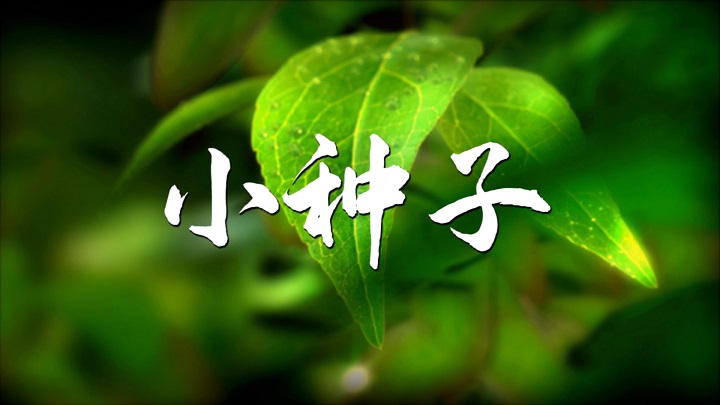 小种子-少儿故事诗歌朗诵配乐led背景视频
