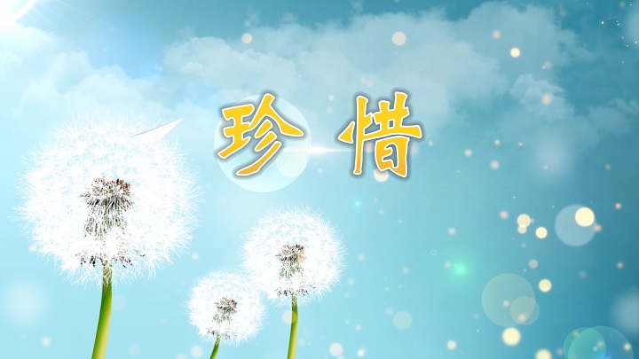 珍惜-挚爱真情主题演讲经典诗歌朗诵配乐led背景视频