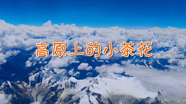 高原上的小茶花-挚爱真情主题演讲经典朗诵配乐led背景视频