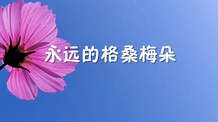永远的格桑梅朵-红色故事朗诵情景剧配乐led背景视频
