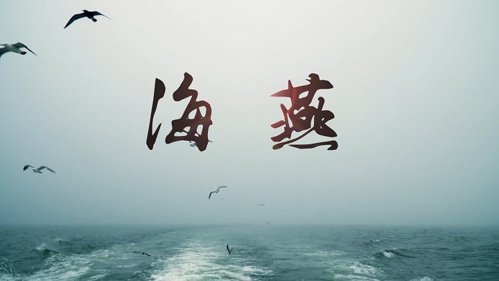 海燕-生命励志主题演讲经典诗歌少儿朗诵配乐led背景视频