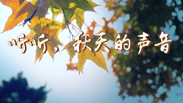 听听秋的声音-秋天挚爱真情主题诗歌经典朗诵配乐led背景视频