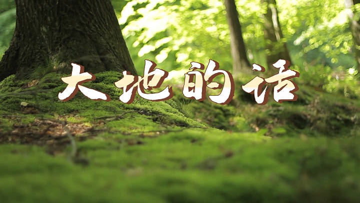 夏青杯少儿诗歌-大地的话朗诵配乐背景视频