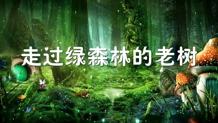 走过绿森林的老树-少儿故事演讲配乐背景视频