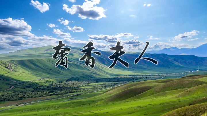 奢香夫人-流行歌曲舞台背景视频