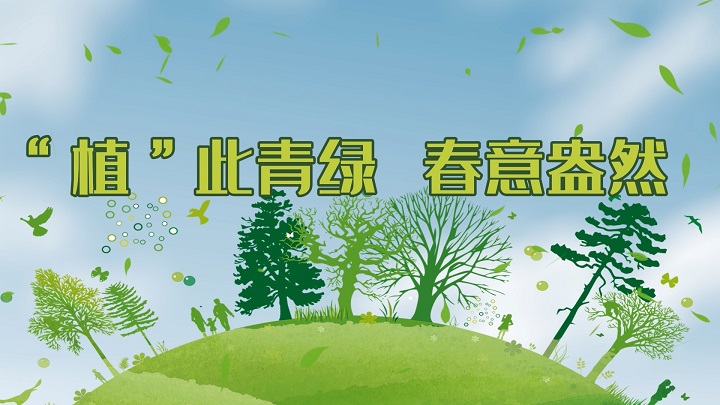 植树节主题演讲朗诵-“植”此青绿 拥抱春天配乐背景视频