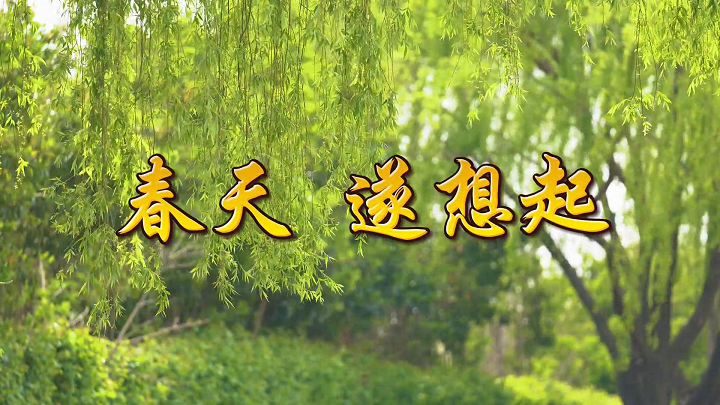春天遂想起-经典诵读，余光中作品朗诵配乐背景视频