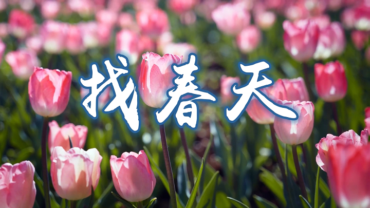 找春天-二年级课本，少儿演讲，语文诵读，春天主题诗歌配乐背景视频