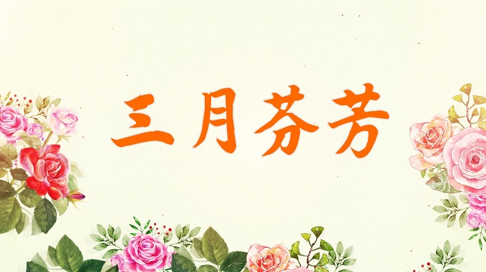 三月芬芳-三八妇女节主题演讲朗诵配乐背景视频