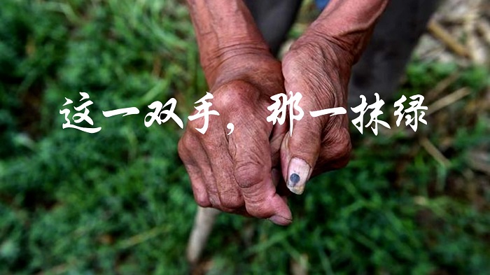 这一双手那一抹绿-中华经典诵读大赛一等奖，朗诵配乐背景视频